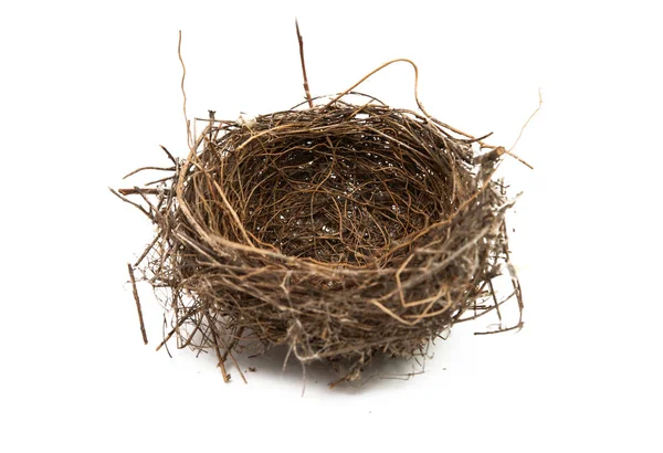 Vogel nest geïsoleerd — Stockfoto