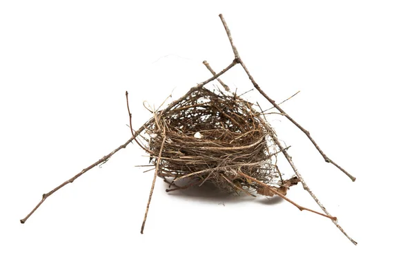 Vogel nest geïsoleerd — Stockfoto