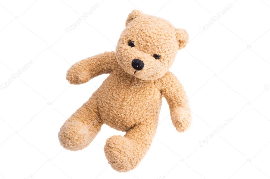 soft toy bear isolated 