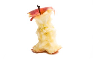 Elma Çekirdeği izole 