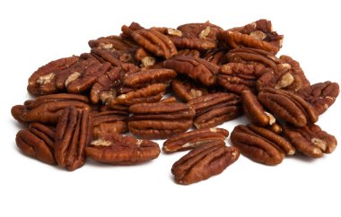 Pecan Walnut Isolated 