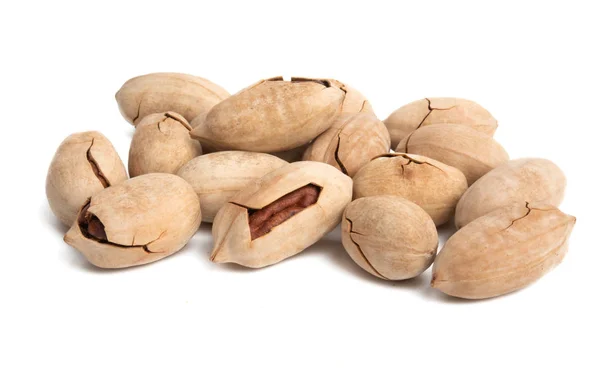 Pecan Walnut Isolated — Stock Photo, Image