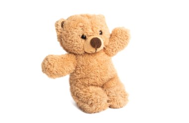 yumuşak ayı oyuncak izole 