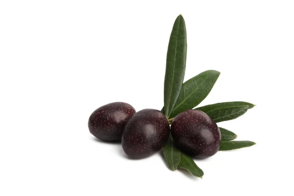 Olives Noires Avec Feuille Isolée Sur Fond Blanc — Photo