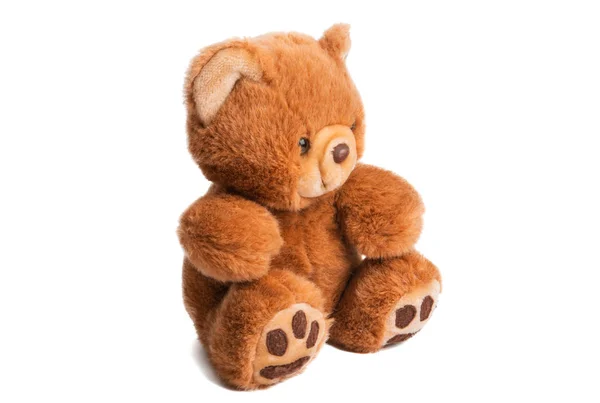 Teddy Bear Soft Toy Isolated White Background — Stock Photo, Image
