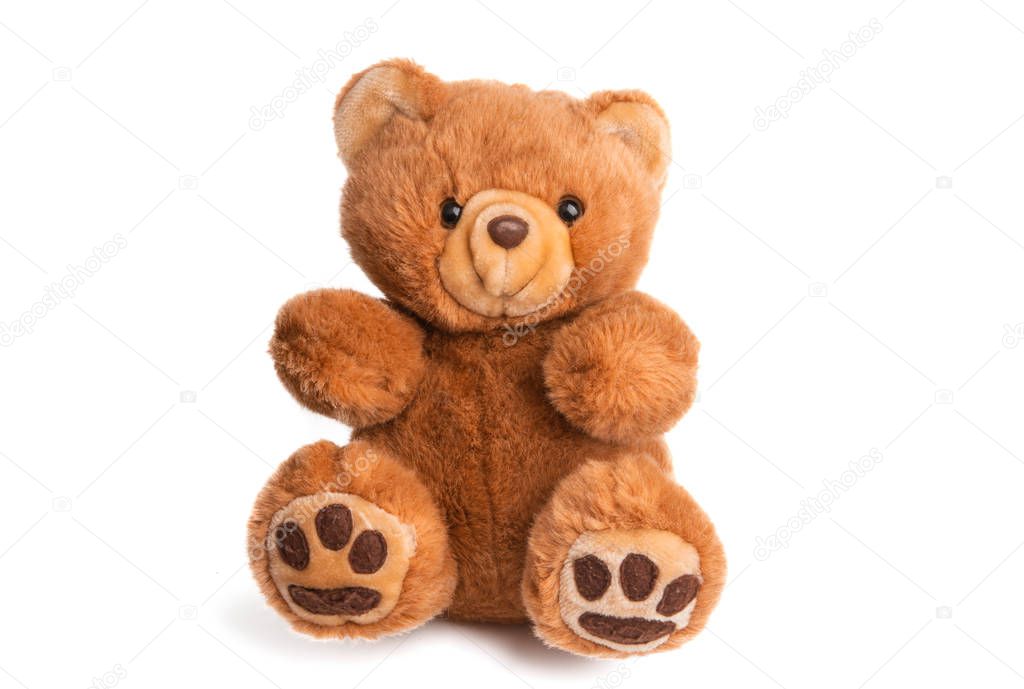 teddy bear soft toy isolated on white background