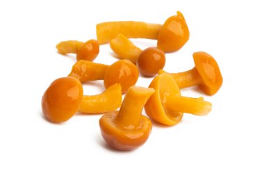 Beyaz arka planda izole edilmiş kırmızı ballı mantarlar.