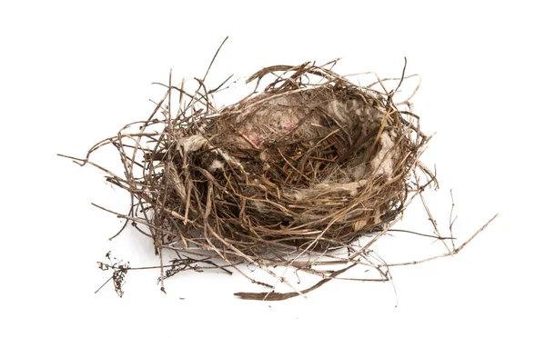 Bird Nest Isolated White Background — Stock Photo, Image