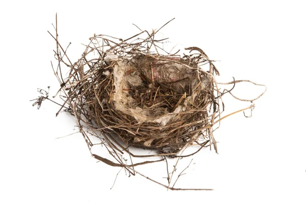 Vogelnest Geïsoleerd Witte Achtergrond — Stockfoto