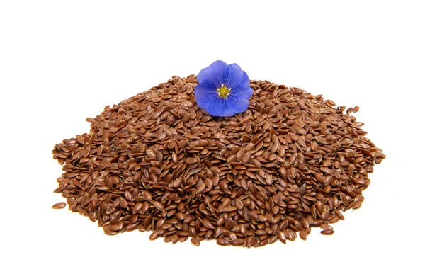 Flax Beyaz Arkaplanda Izole Edildi — Stok fotoğraf