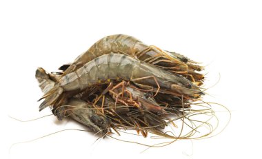 Beyaz arkaplanda karides izole edildi