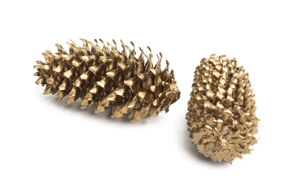 Golden Pine Cones Isolated White Background — Stock Photo, Image