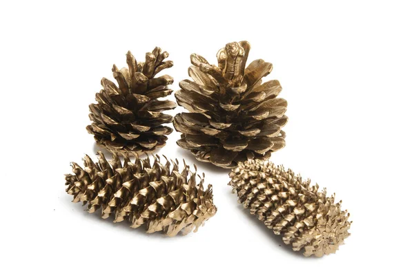Golden Pine Cones Isolated White Background Stock Picture