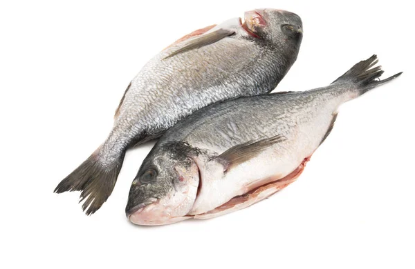Риба Дорадо Ізольована Білому Тлі — стокове фото