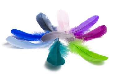 Kaz tüyü beyaz zemin üzerine izole