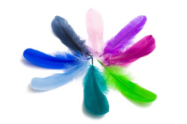 Kaz tüyü beyaz zemin üzerine izole