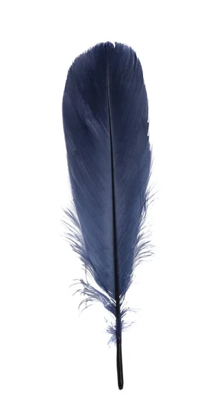 Goose Feather Isolated White Background — Stock Photo, Image