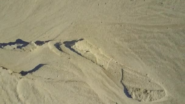 Quadcopter 在沙子上飞行。顶视图 — 图库视频影像