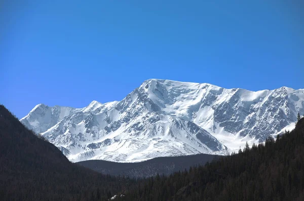 Montagnes Altaï. Beau paysage montagneux. La Russie. Sibérie — Photo