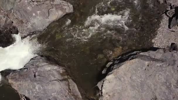 Cours d'eau rivière de montagne. Russie Altaï — Video