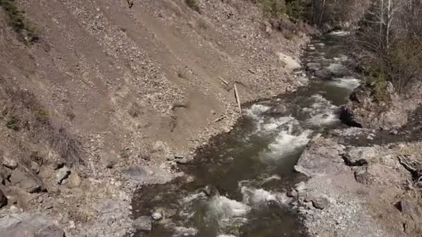 Stream mountain river. Ryssland Altai — Stockvideo