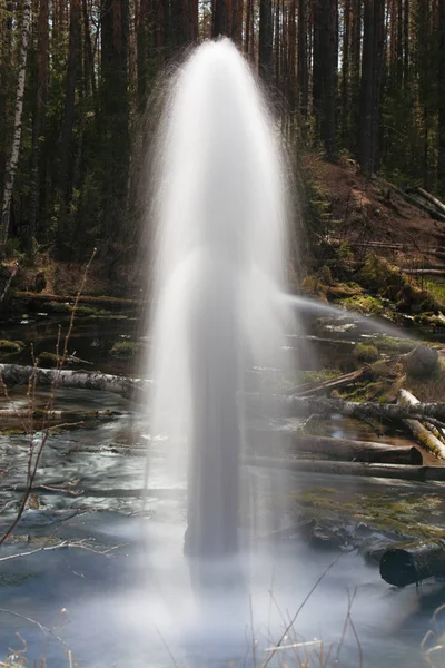 木の泉だ。美しい風景 — ストック写真