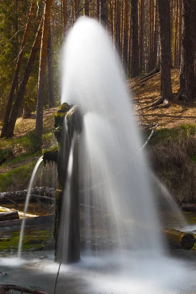 Fontän i trä. vackert landskap — Stockfoto