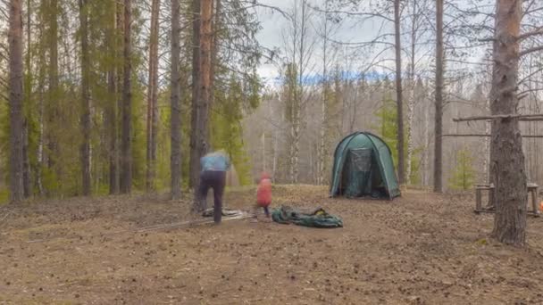 Montaż namiotu w drewnie. Reszta turystycznych. Timelapse — Wideo stockowe