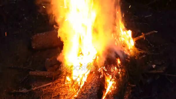 Fuego nocturno en madera. Descanso turístico — Vídeos de Stock