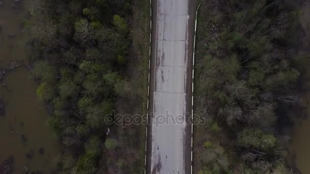 Aerial survey of road. Top view — Stock Video