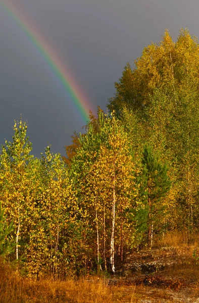 Autumn landscape. Rainbow over forest in sky — Stock Photo, Image