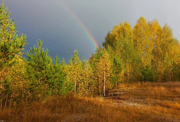 Paisaje de otoño. Arco iris sobre bosque en el cielo — Foto de Stock