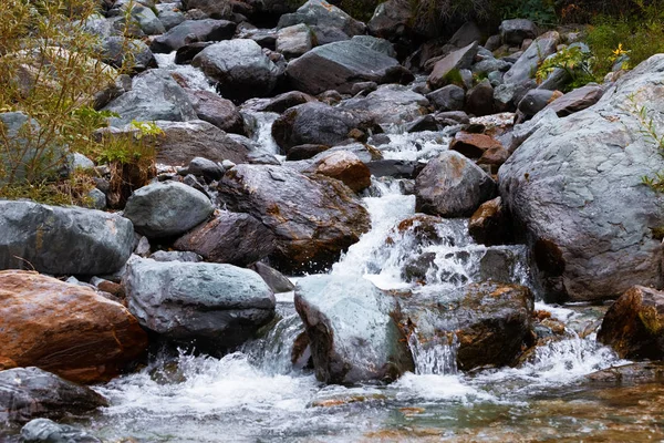 Bergsflod. Snabbströmsvatten. Ryssland Altai — Stockfoto