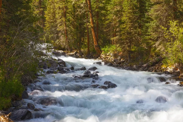 Dağ nehri. Hızlı akarsu. Rusya Altai — Stok fotoğraf