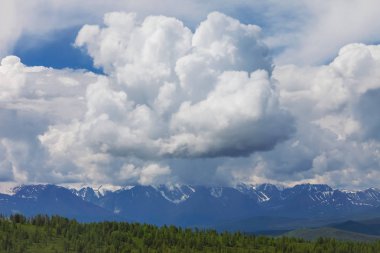 Altay Dağları. güzel yayla manzara. Rusya. Sibirya