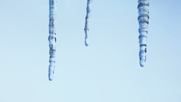 Spring thawing icicles against background of the sky — Stock Video