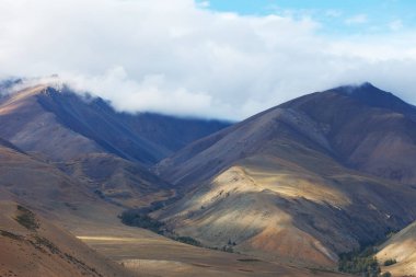 Altay Dağları. güzel yayla manzara. Rusya. Sibirya