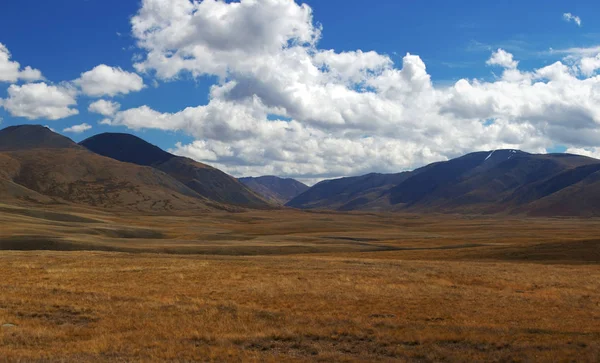 Όρη Altai. όμορφο ορεινό τοπίο. Ρωσία. Σιβηρία — Φωτογραφία Αρχείου