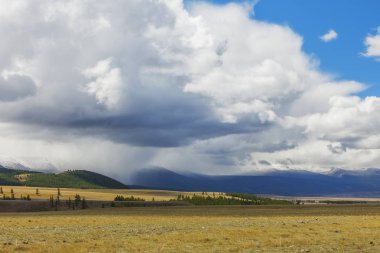 Altay Dağları. Güzel yayla manzara. Rusya Sibirya