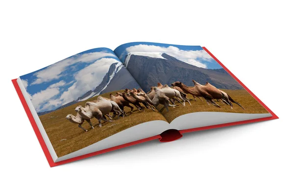 Ανοιχτό βιβλίο σε άσπρο φόντο. Απομονωμένη 3d απεικόνιση — Φωτογραφία Αρχείου