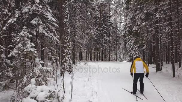 滑雪者在冬天木头 俄罗斯烫发边疆区 Dobryanka 2018 — 图库视频影像