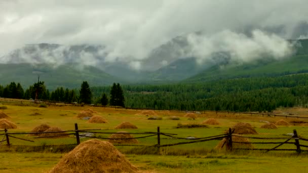 Montagne Altai Bellissimo Paesaggio Altopiano Russia Siberia Timelapse — Video Stock