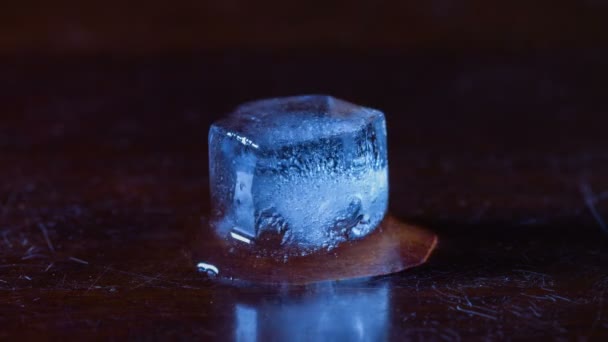 Thawing Cube Ice Timelapse — Stock Video