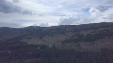 dağ nehri. Hızlı akarsu. Rusya Altai