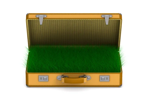 Open travel bag with grass on white background. Isolated 3D illu — 스톡 사진