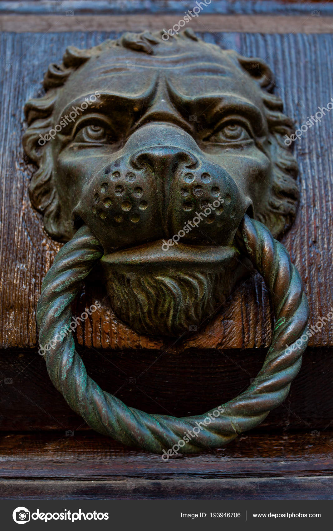 Antique Door Knocker With Lion Head Stock Photo C Zoooom 193946706