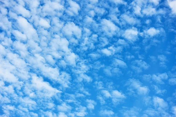 Fleecy clouds - textured background