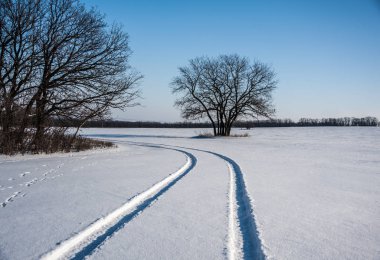 Ağaçlar ve çimlerle kaplı kış manzarası