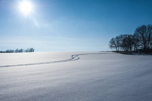 Winter landscape with trees and grass — Stock Photo, Image