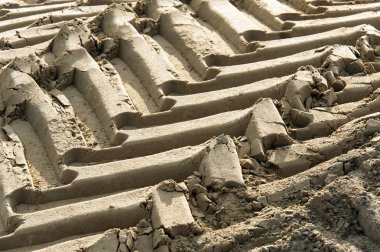 Traktör tekerlek kuma izler.